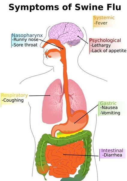 चित्र:Swine-flue.jpg