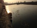 12:17, 26 अक्टूबर 2016 के संस्करण का अंगूठाकार प्रारूप।